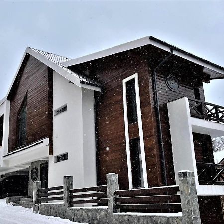 Casa Larisa - Wolves Apartment Sinaia Extérieur photo
