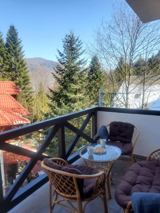 Casa Larisa - Wolves Apartment Sinaia Extérieur photo