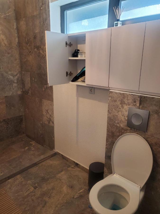 Casa Larisa - Wolves Apartment Sinaia Extérieur photo