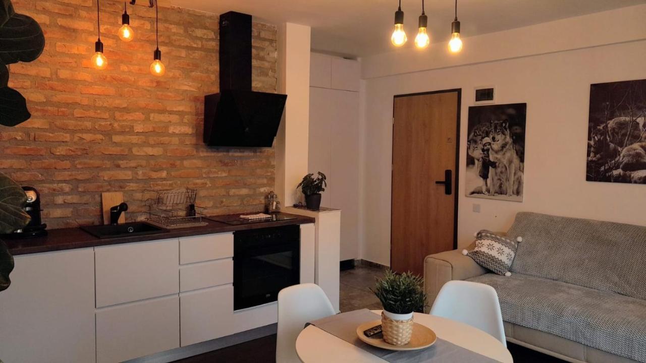 Casa Larisa - Wolves Apartment Sinaia Extérieur photo