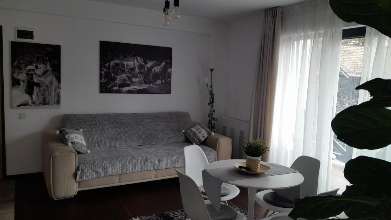 Casa Larisa - Wolves Apartment Sinaia Extérieur photo