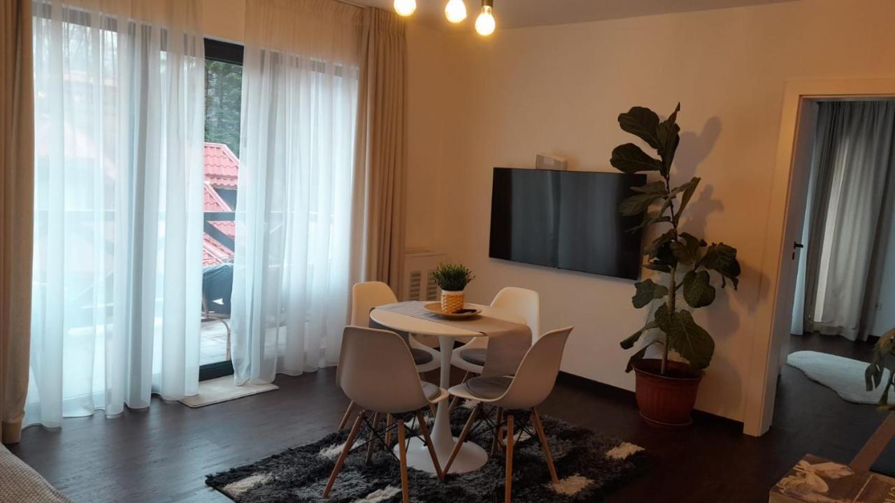 Casa Larisa - Wolves Apartment Sinaia Extérieur photo